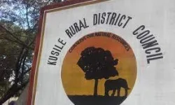 Kusile council moves to grab 262 idle stands.webp