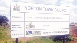 Norton council eyes city glow up under NDS2.webp