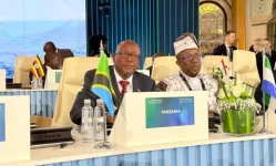 Tanzania to Africa - stop shipping raw stuff, start value add.webp