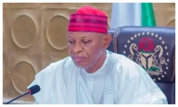 Kano officials deny shutdown as budget pause draws criticism.webp
