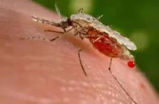 Malaria cases climb in Mash West as health officials sound alarm.webp