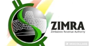 Zimra says digital tax levels the field, critics unimpressed.webp