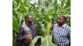 Zimbabwe villages set to swap hoes for tractors in rural revamp.webp