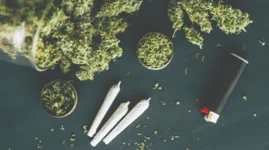 Zimbabwean granny drug dealer trades her shop for community service.webp