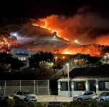 Signal Hill firefighters finally put out that fire.webp