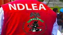 Nigerian drug agency nabs 128 kingpins in five-year crackdown.webp