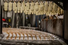 Ledo seals EU stamp as top customs operator.webp