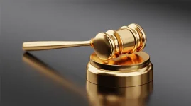South African judge blocks mom's Zimbabwe kid drop-off.webp