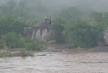 Zimbabwe's village chiefs eye fines for dumb river crossing moves.webp