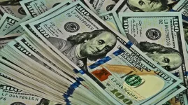 John Mushayavanhu preps ZiG stability with billion dollar bet.webp