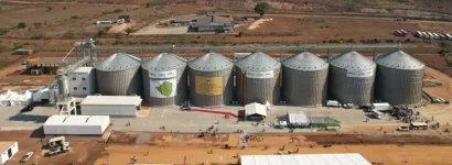 Mnangagwa and GMB let farmers swap small grains for maize meals.webp