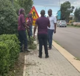 Mamaregane and Sawub fight Steers over chef's gardening duties.webp