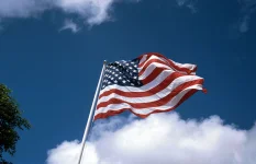 Tinubu picks security pro Lateef Are for US ambassador post.webp