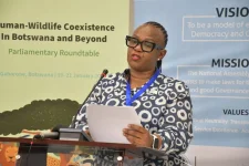 Helen Manyeneng says Botswana wildlife kills 28 as elephants ruin lives.webp