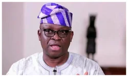 Fayose says Makinde turns on Tinubu after snub at Villa.webp