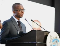 Ndaba Nkosinathi Gaolathe pushes private sector growth in Botswana.webp
