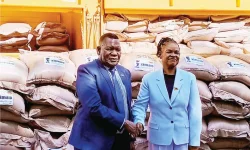 Zimbabwe sends flood aid to Malawi, receives official gratitude.webp