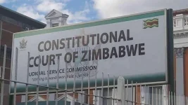 Mbuso Fuzwayo wants to block Mnangagwa's term extension.webp