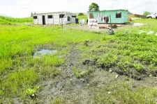 Zimbabwe Lawyers for Human Rights urges wetland preservation.webp