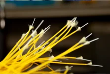 Airtel Africa stretches fibre network to 81,500 kilometers.webp