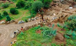 Zimbabwean Court orders immediate exit from Vubachikwe Mine.webp