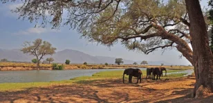 Kariba court jailed Maronga and Kapesa for five years.webp