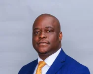 Mavhaire slammed Mnangagwa over the 2030 term plan.webp
