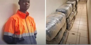 Namibian trucker faces drug charges in Botswana.webp