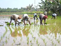India's Digital Agriculture Mission logs 7.63 crore farmer IDs.webp