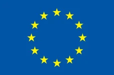 EU extends Zimbabwe arms embargo, drops travel and asset bans.webp