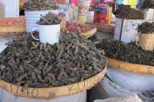 Zim traders source mopane worms from Botswana after a poor harvest.webp