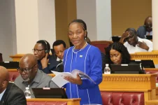 Ericah Shafudah tabled a budget of N$104 billion.webp