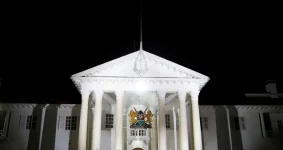 Katoo Ole Metito reveals State House land theft.webp