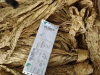 TIMB says tobacco prices start to stabilise.webp