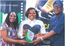 NFVCB honors Funke Akindele with four box office awards.webp