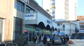 Talent Tarisai Zimbindi gets four years for CABS fraud.webp