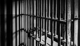 Shubham Sharma gets five years for fake cash.webp