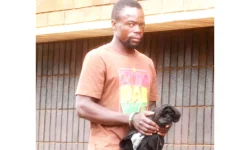 ZB Bank heist suspect Alfred Shumba caught after his brother betrays him.webp