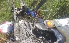 Pilot dies, wife hurt as plane crashes in Zaka.webp