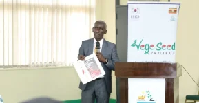 NARO and KOICA push Uganda's first local vegetable seeds.webp