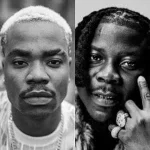 DarkoVibes praises Stonebwoy for his humble support.webp