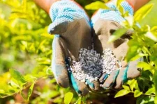 Zimbabwe fertiliser firms face capital crunch amid supply chain woes.webp
