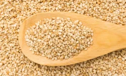 COPRA trains Coast Region officers to boost sesame and legume quality.webp