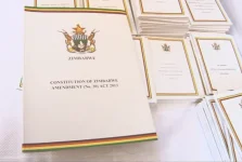 Retired general disputes with Muchena's stance on the amendment bill.webp