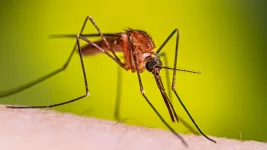 500 Christian leaders trained as malaria ambassadors.webp