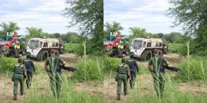 South Africa tightens Beitbridge border with new tech.webp
