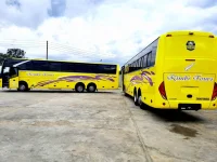 Mosa Chabane requests Rimbi Travel suspension.webp