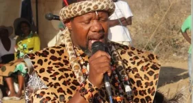 Wishes Ndiweni is the acting chief in Zimbabwe.webp