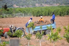 South Africa has no new undocumented worker fine law.webp