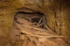 The Zvimba shaft collapse killed four artisanal miners.webp